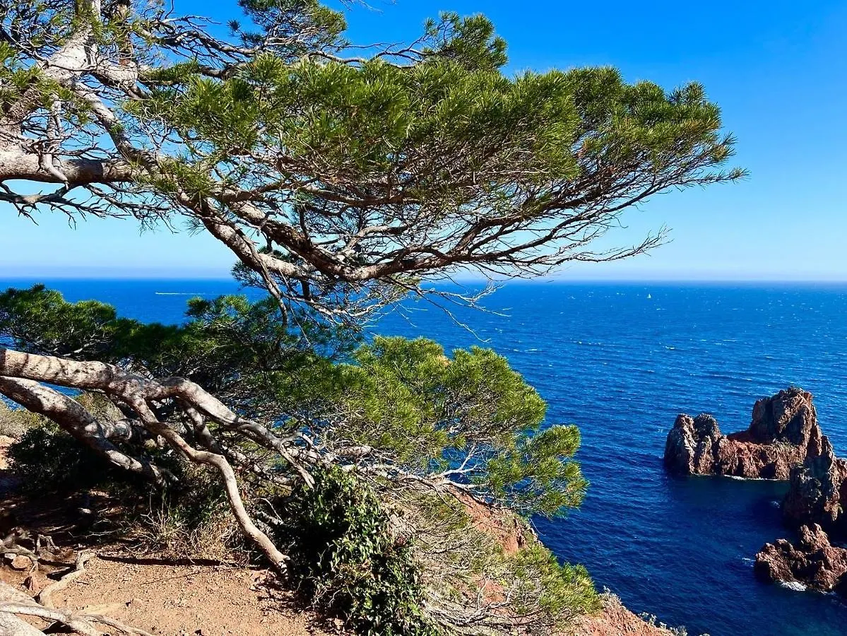 Apartment Les Cactus Frejus Plage
