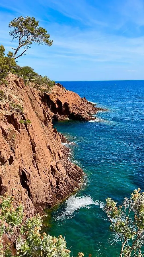 Les Cactus Frejus Plage