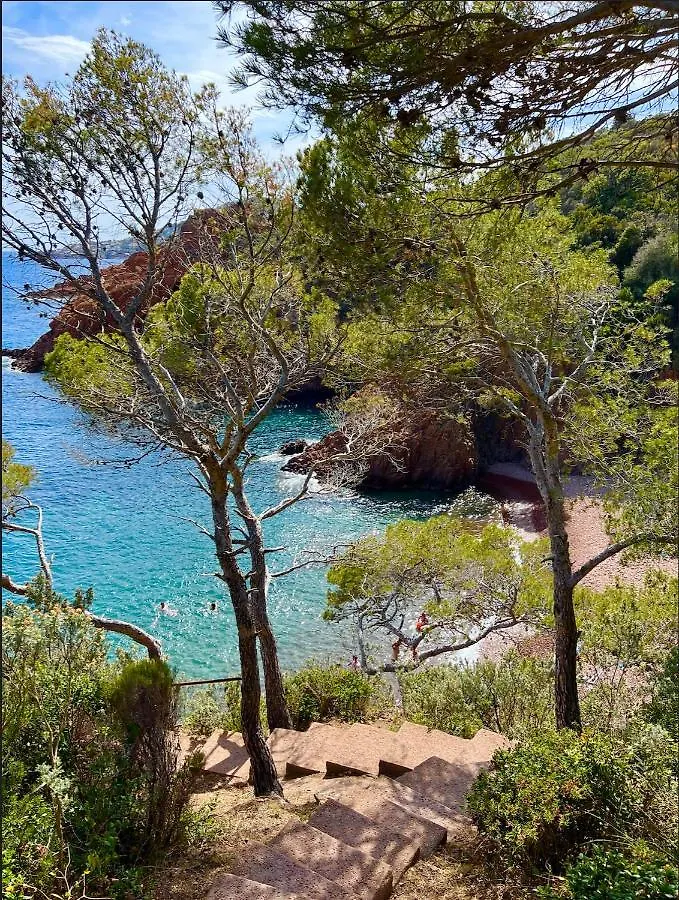Les Cactus Frejus Plage